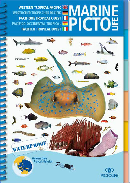 Pictolife Asiatischer Pazifik Marine